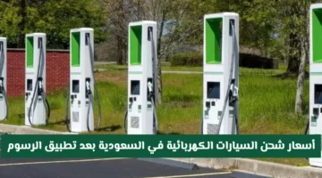 رسوم جديدة.. أسعار شحن السيارات الكهربائية ترتفع في السعودية عبر إيفيك